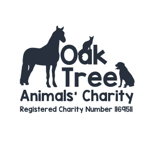 Oak Tree Animals’ Charity