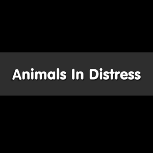 Animals in Distress