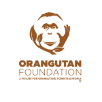 Orangutan Foundation