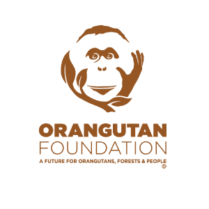 Orangutan Foundation